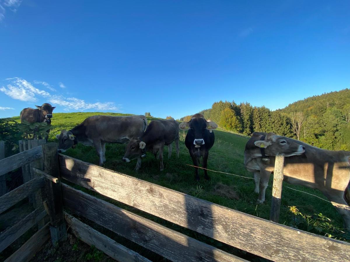 Ferienwohnung Bergblick Wangen Im Allgaeu Mit Garten, 2022 Komplett Renoviert Eksteriør bilde